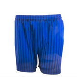 Royal Blue Shadow Stripe P.E Shorts